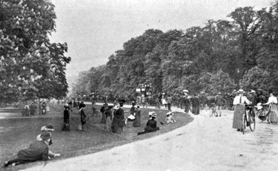 Algemeen uitzicht op Bushey Park, illustratie uit The King, 25 mei 1901 door English Photographer